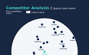 Spatial Competitor Analysis - Zoom Demo