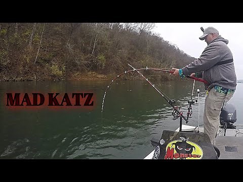 The MAD KATZ Rod Takes A Bend! (Ft. Reel Beasts)