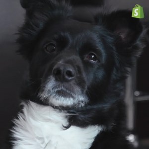 Create and sell your own custom products. | Shopify