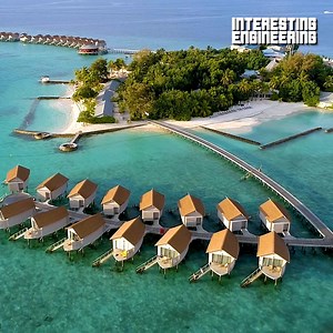 How can we make artificial islands that protect marine environments? 🌴🌊 #engineering #environment | Interesting Engineering