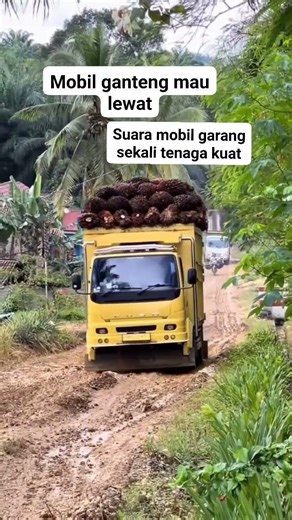 garang!, truk muatan sawit terbalik #shorts #truksawit #fyp #viral