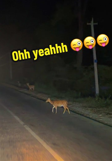 Exploring the Birat AC Bus Experience in Nepal