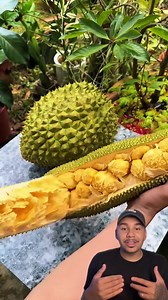 3.8K views · 46 reactions | Peeling a beautiful, juicy jackfruit fresh from the tree ✨ #PeelingJackfruit #TropicalFruit #FarmLife | Green Agriculture | Facebook