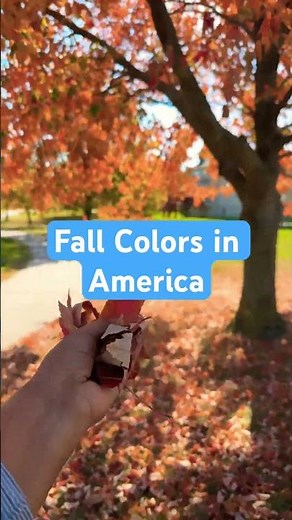 Fall colors of America #fallseason #fall #fallcolors #fallcolours #october #america