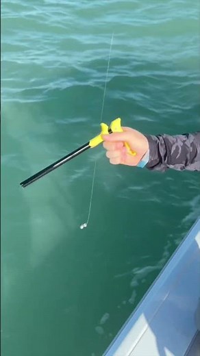 How To Remove Fish Hook In Seconds #Fishing #FishingTikTok #FishingVideos