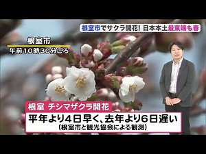 【札幌連日25℃以上の夏日予報】きょうは札幌今年一番！道内各地で6月並みの陽気に…今週いっぱい広範囲で気温上昇！熱中症に注意を【北海道の天気 12日(月)】