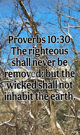 Proverbs 10:30 #kjv #encourage #devotions