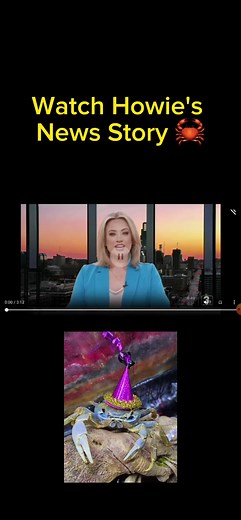 Howie's News Story! Link to the story in my bio. #howiethecrab #news