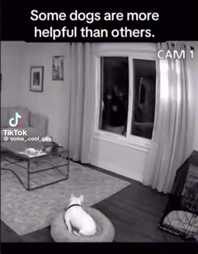 jotaro (@jotaro8419)’s videos with original sound - jotaro