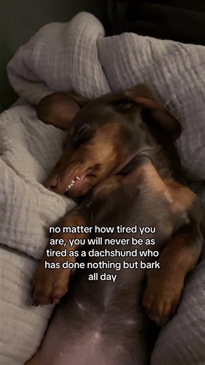 it’s a full time job🥱