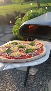 An outdoor pizza disaster you can almost taste 🍕😩 | Aunty Acid