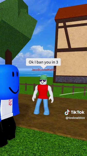 Blox Fruits Gameplay: My Ban Experience