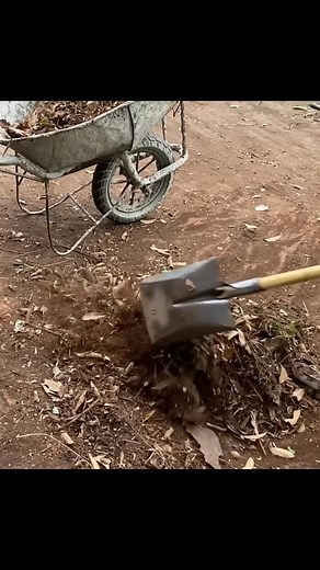 Old Dusty Room Restored to Life | Satisfying Cleanup | CleanUp Crew