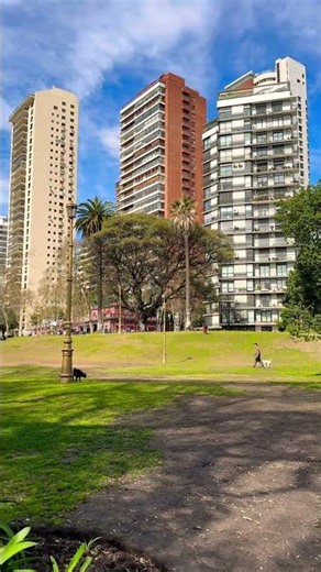 Es una mañana más que bellísima y primaveral en las Barrancas de #belgrano #shorts #buenosaires