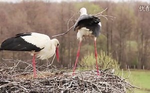 工业4.0的四个维度 industry 4.0 中国制造2025_高清