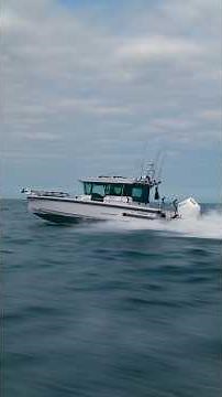 Pêche du bar en manche