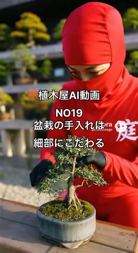 盆栽のお手入れはとにかく丁寧。雑草もピンセットで抜取ります🌱植木屋AI動画NO19 #gardening #gardener #植木屋 #庭師