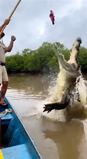 Рыбалка на кракодилов🐊