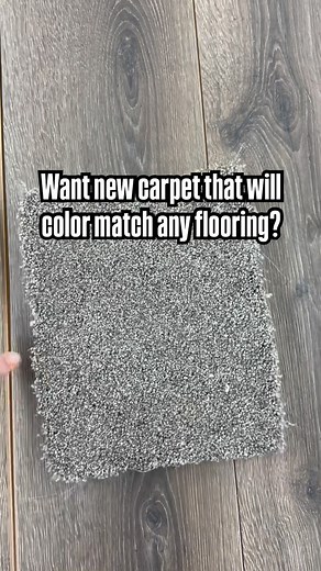 Our anniversary sale is happening NOW and this amazing carpet, Dream Weaver’s Gold Standard III, is in stock AND on sale. Some features of this carpet (which is Reeni’s favorite, by the way): Gold Standard III comes in over 20 colors, and each design has over 12 colors mixed in, which gives it an amazing color match to existing flooring. 4.5 PAR rating, meaning it can withstand heavy foot traffic and is very durable, along with superior stain resistance, fade resistance and overall resilience to