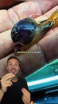 What happens when a fish is unable to give birth?