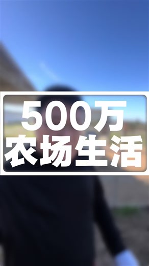 周末放松 去农场玩羊驼🦙#美国生活 #羊驼 #美国农场 #洛杉矶