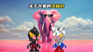 儿童启蒙益智视频：关于大象的冷知识