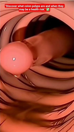 Gut Health Explained: How Your Digestive System education Overall Wellness 3d education #health