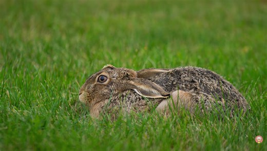 7 Steps for Buying a Lens