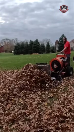 Using Our LEAF PLOW To Move A BIG Pile of Leaves #leafplow #fallenleaves #FallYardCleanup #fallcleanup | Brian's Lawn Maintenance - Youtube