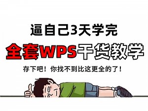 2024 WPS全套零基础办公入门课程 | 办公必备/简单易懂/快速掌握/Excel/Word/PPT/Office/数据分析/图表制作