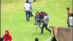 Eight people were hurt when a running bulls festival went awry... | NBC News World