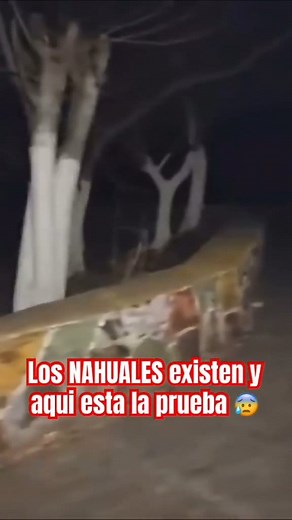 232K views · 4.9K reactions | Real y aterrador un NÁHUAL  aparece frente a mi, tengo mucho miedo, no puedo creer esto #christmasinspired #fullmoon #holidaygifts #holidayseason #Thanksgiving #montreal #holidayinspiration #christmasornaments #christmaslights #tuesday #terror #ultimomomento #moon #book #spanish | Obsesión paranormal México | Facebook