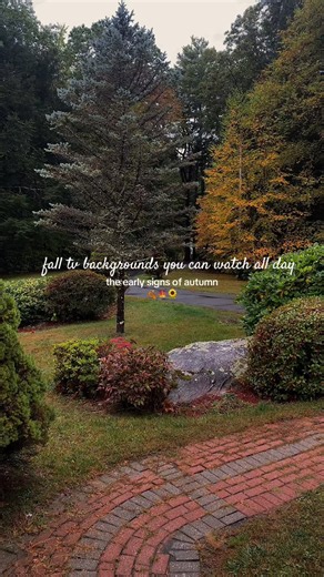 I love having autumn backgrounds on my tv so I created ones for you too!🍂✨ #autumnambiance #autumn