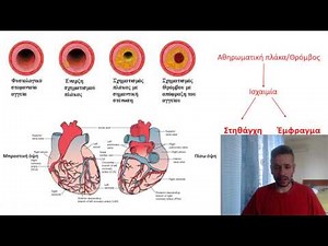 Κυκλοφορικό Σύστημα: Μικρή, Μεγάλη & Στεφανιαία Κυκλοφορία