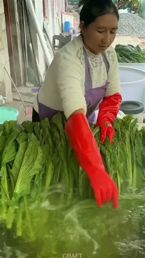 Yum! Dried Sauerkraut Blanching Veggies – Simple Tasty Process!