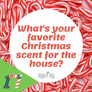 1.5K views · 18 reactions | If we visited your home today, what scent would we smell? | Trendy Tree | Facebook
