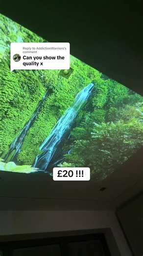 Affordable Projectors You Need to Check Out