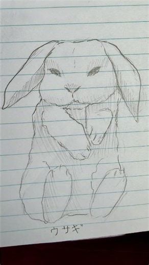 #babyanimals #art #drawing #sketch #cute