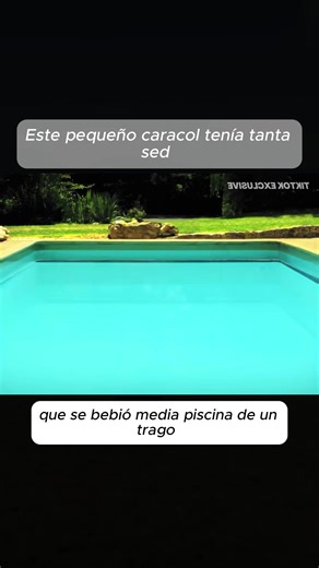 Exploring Anime Trends on TikTok in the USA