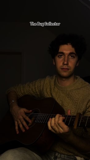 The Bug Collector Guitar Tutorial with Tabs