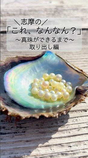 【海からの贈り物】真珠養殖産業発祥の地、三重県志摩市 (志摩の「これ、なんなん？」#11) #真珠 #アコヤ真珠 #真珠養殖 #三重県志摩市 #英虞湾 #shortsvideo #shorts