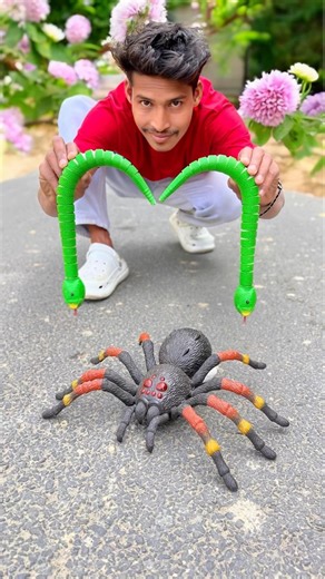 2Kan Rc Snake and Remote Wala Spider Unboxing 😜￼