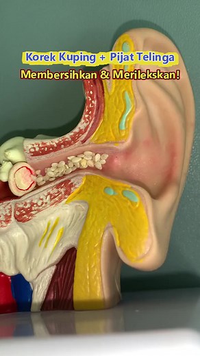 Jika telinga Anda gatal, jangan lagi gunakan cotton bud,