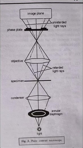Phase contrast microscope #education #bscbotany !!For bsc students!! easy 📝 💯