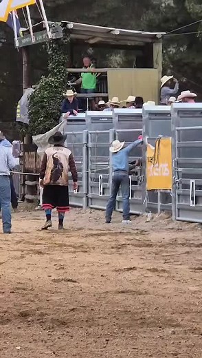 =1st in the novice bull ride at Boddington Rodeo this weekend#rodeolife #femalebullrider #bullriding