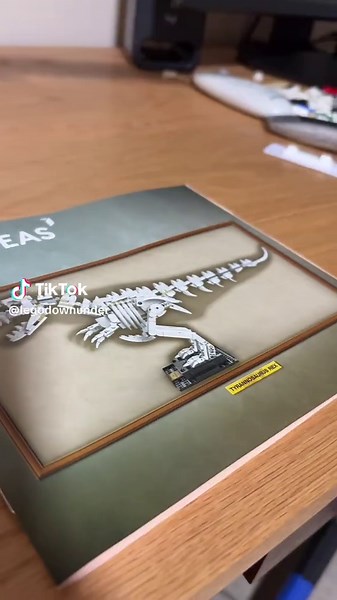 Lego_down_under on TikTok