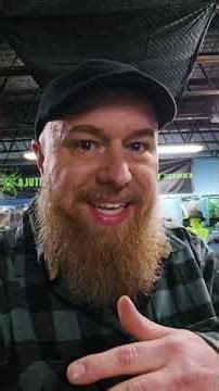 Quick Explanation for my HATERS Part 2