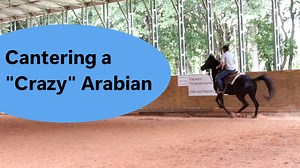 30K views · 600 reactions | Just have to hang on while he learns what to do with his feet! | Tim Anderson Horse Training | Facebook