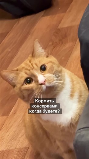 Marie (@marie___grapefruit)’s videos with Original Sound - Unknown