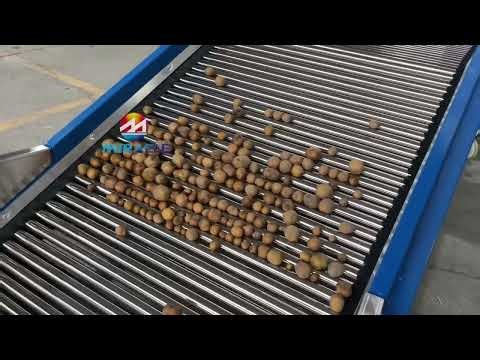 Potato sorter, potato size sorting machine & industrial potato grading machine